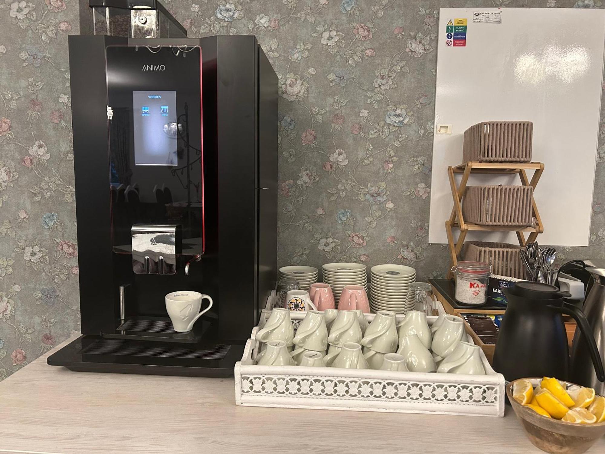 Hotel Evan U Hoffera Topoľčany エクステリア 写真